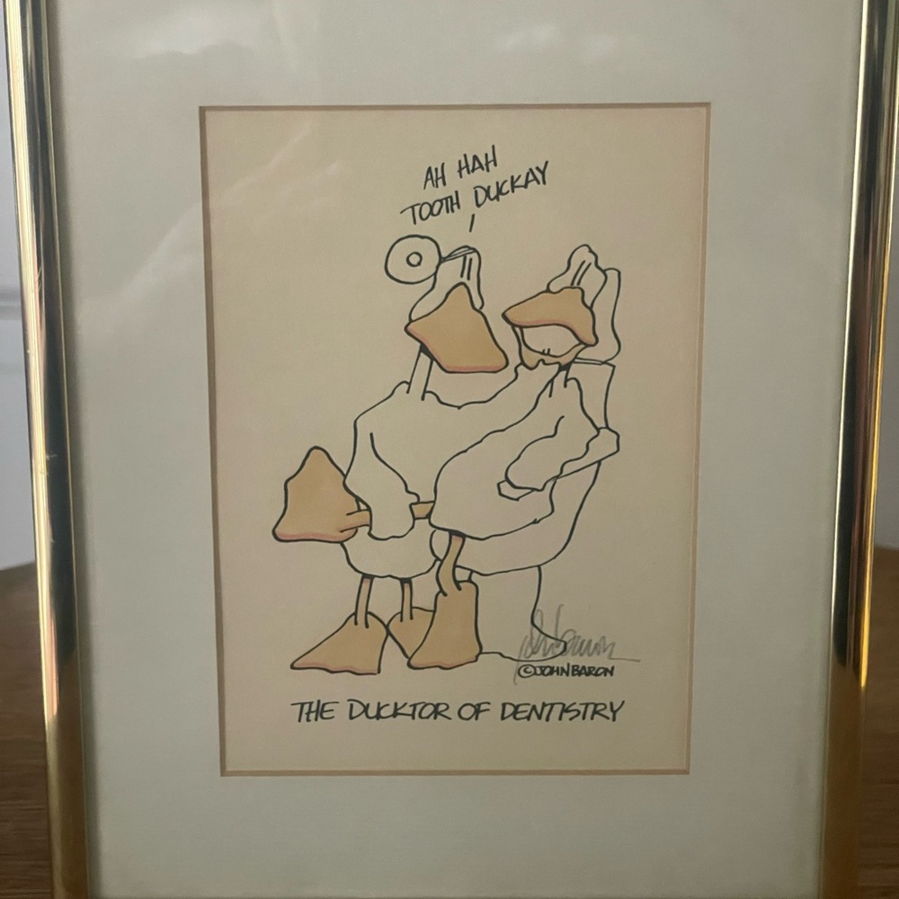 John Baron Framed Duck Illustration
